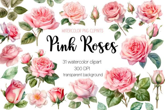 Download Pink Roses Watercolor Clipart Bundle - Watercolor clipart bundle Collection